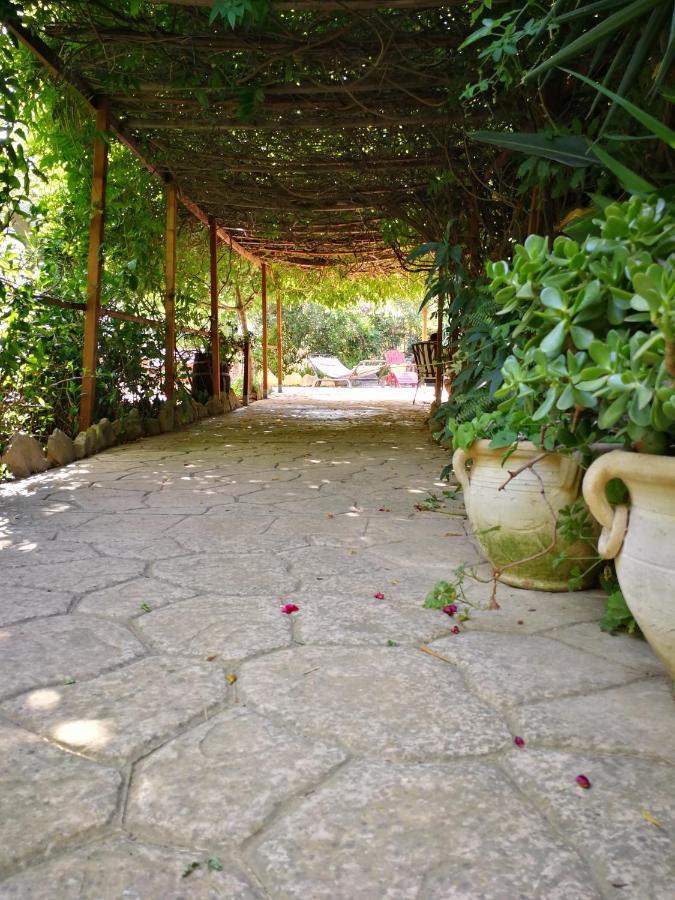 Villa Murgia Solanas  Luaran gambar