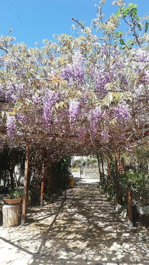 Villa Murgia Solanas  Luaran gambar